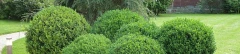 Logo Harald Kirschenlohr Garten- und Landschaftsarchitekt