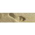 Logo Schreiber, Harald