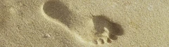 Logo Harald Schreiber Praxis für Podologie
