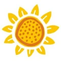 Logo Seniorenpflegeheim Haus Hasch Betriebs GmbH & Co. KG