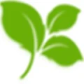 Logo Haus- u. Gartenservice Patrick Frank