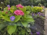 Logo Haus und Garten Service Bremen UG