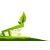 Logo Haus und Gartenservice Weyher