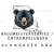 Logo Hausmeisterservice der schwarze B&auml;r