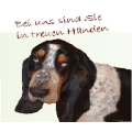 Hausverwaltung, Unternehmensberatung & Buchhaltungsservice Bentwisch