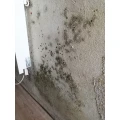 internal_portal_1188010186455613222301657821402