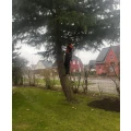 HDS Hausmeisterdienste Falko Stange Steinhagen bei Stralsund