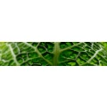 Logo Heca GmbH Geb&auml;udemanagement