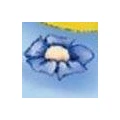 Logo Blumen Westphal