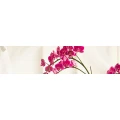 Logo Heilerin Ellen Hermanns