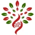 Logo HeilkundePraxis Werder