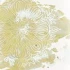 Logo Heilpraktikerin Kathrin Sommer-Rah