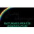 Logo Heilpraktikerin Naturheilpraxis Judith Wettengel