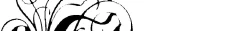 Logo Heilpraktikerin
