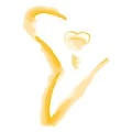 Logo Hein Andreas und Partner