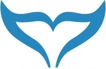 Logo Heinsohn Thomas