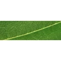 Logo Heiny Manfred Unternehmensberater