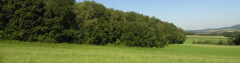 Logo HEMENS GmbH