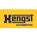Logo Hengst GmbH & Co. KG, Ing. Walter