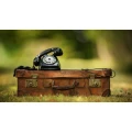 Henning Behme - Gartenbau & Handwerk Walsrode