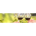 Logo Hensel&Wagner