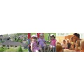 Logo Herrnscheider-Kindernest Drolshagen