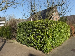 Herting Hausmeisterservice G&uuml;tersloh