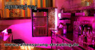 Logo Herzkaschperl Boutique