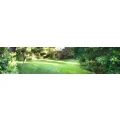 Logo HGB Holz und Gartenbau
