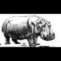 Logo Hippo Hausverwaltung