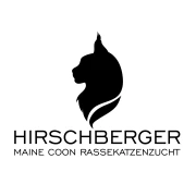 Hirschberger Maine Coon Zucht Augsburg