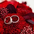Hochzeitsschmiede & Seidenstra&szlig;e Inh. Gerhard G&uuml;lzau Goldschmiede Pl&ouml;n