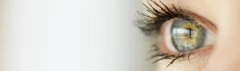 Logo Höfels Augenoptik