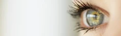 Logo H&ouml;fels Augenoptik