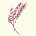 Logo Hof Vorberg e.V.