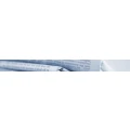 Logo Lodahl, Holger