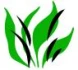 Logo Holger Schwarz Gartengestaltung u.-design