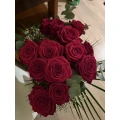 Holland Blumen Aschaffenburg