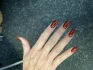 Logo Hollywood Nail