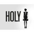 Logo HOLYS GMBH