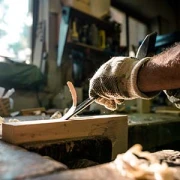 Holz & Bautenschutz I. Lesanu Jena