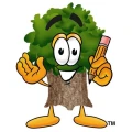 Holz Scholli & HWS Gernsheim