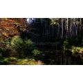Holz und Wald Zertifizierungsgesellschaft mbH (HW-Zert GmbH) Attenkirchen