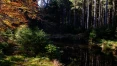 Holz und Wald Zertifizierungsgesellschaft mbH (HW-Zert GmbH) Attenkirchen