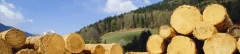 Logo Homelike Haus- und Gartenservice