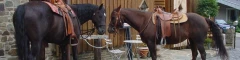 Logo Horse Lovers Hut