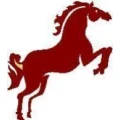 Logo Horsetrans Horst Wochnik