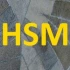 Logo Horst Schubert Media