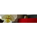 Logo Hotel Brunnenhof