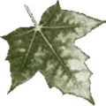 Logo Jacoby, Wolfgang